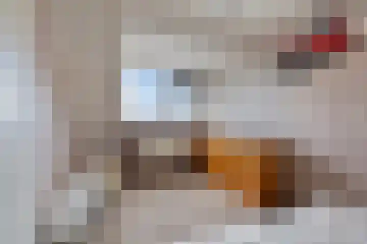 Emmakade 7 Boskoop thumbnail 14