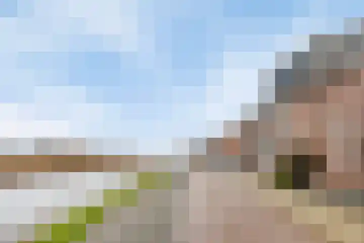 Emmakade 7 Boskoop thumbnail 25