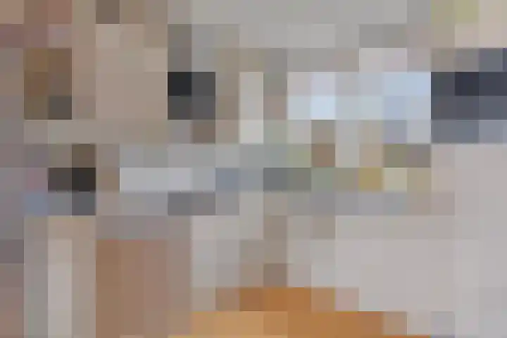 Emmakade 7 Boskoop thumbnail 6