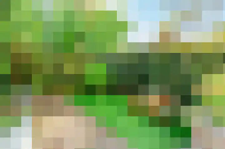 Emmakade 8 Amstelveen thumbnail 21