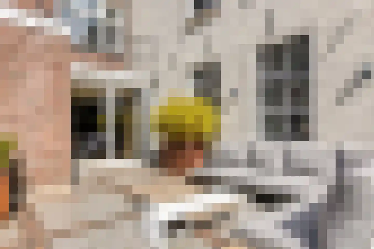 Emmakade 8 Woerden thumbnail 30