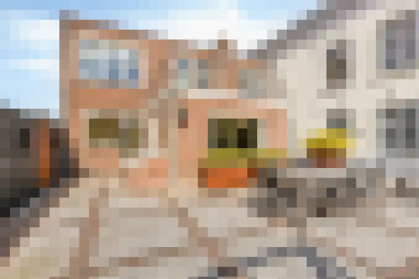 Emmakade 8 Woerden thumbnail 34