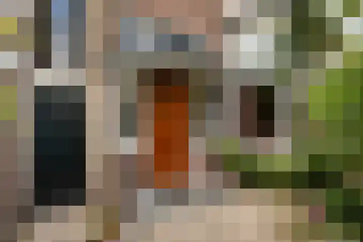 Emmakade 85 Leeuwarden thumbnail 11