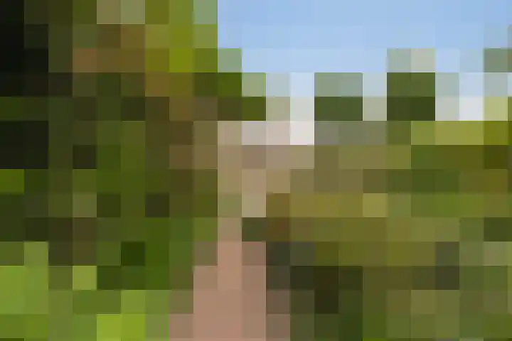 Emmakade 85 Leeuwarden thumbnail 32