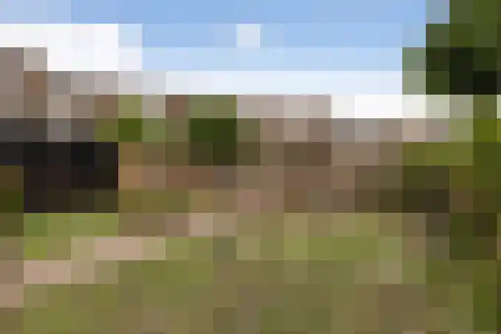 Emmakade 85 Leeuwarden thumbnail 33