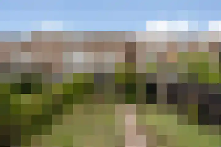 Emmakade 85 Leeuwarden thumbnail 34
