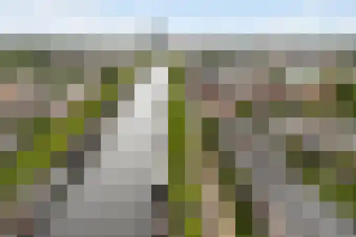 Emmakade 85 Leeuwarden thumbnail 63