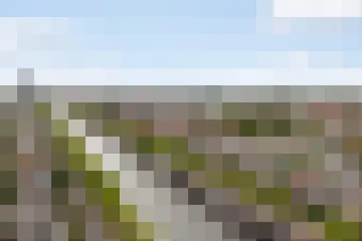 Emmakade 85 Leeuwarden thumbnail 64