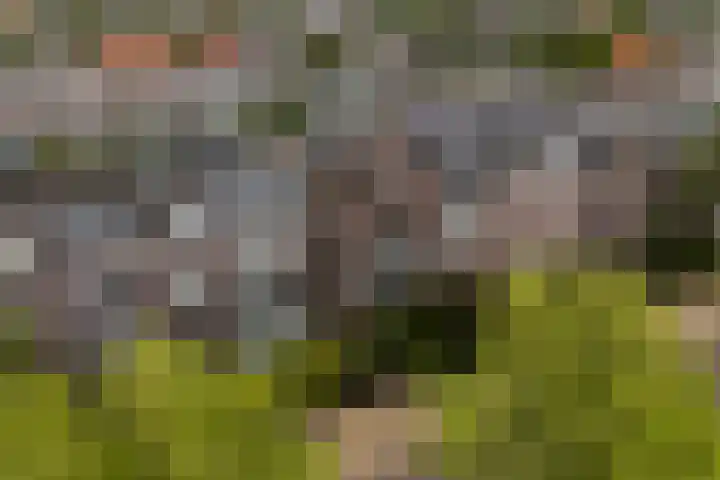 Emmakade 85 Leeuwarden thumbnail 7
