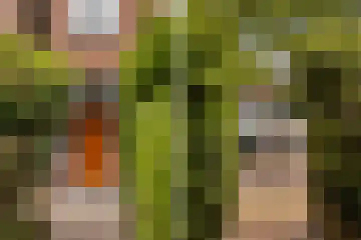 Emmakade 85 Leeuwarden thumbnail 8
