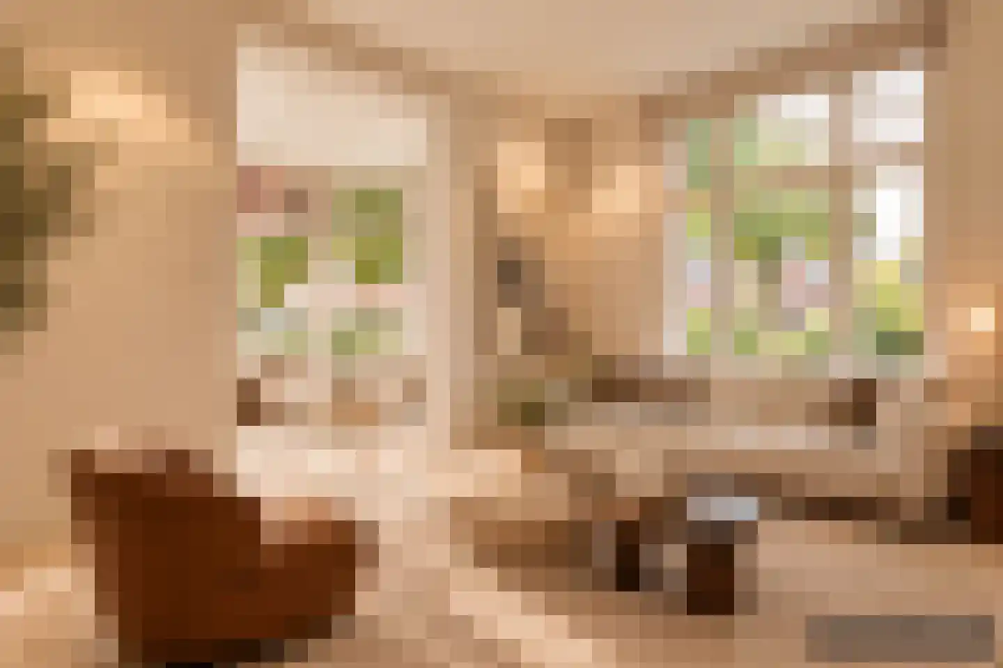 Emmalaan 1 Apeldoorn thumbnail 11
