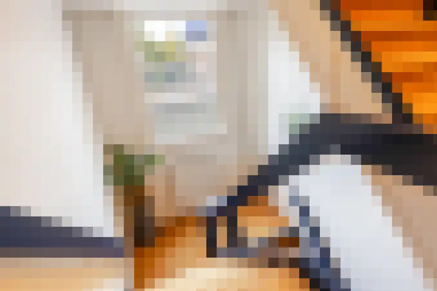 Emmalaan 1 Apeldoorn thumbnail 27