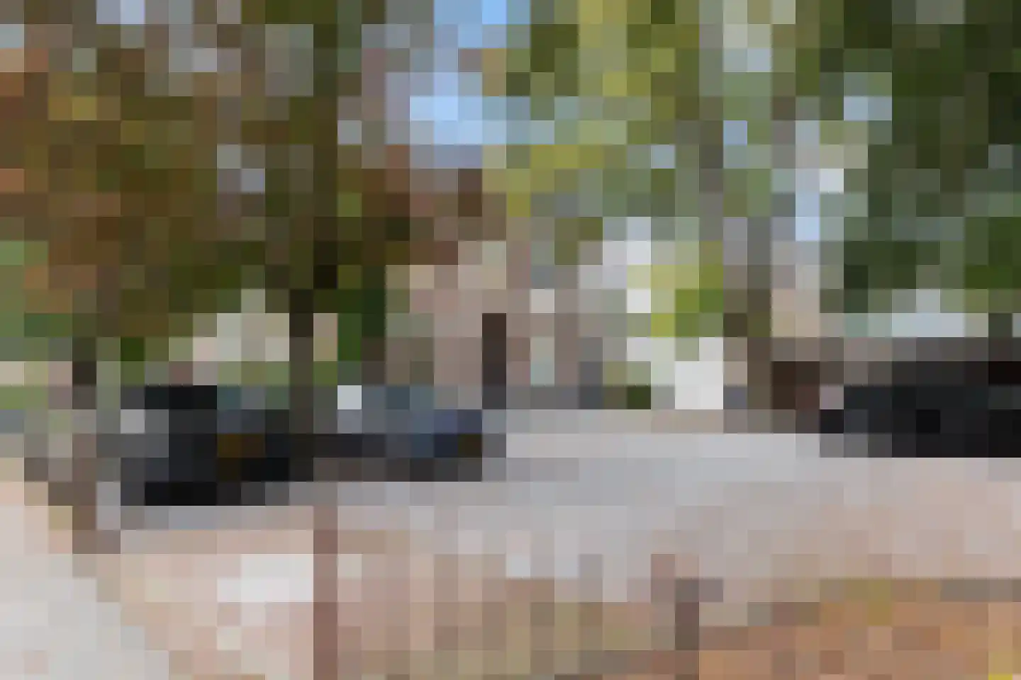 Emmalaan 1 Apeldoorn thumbnail 36