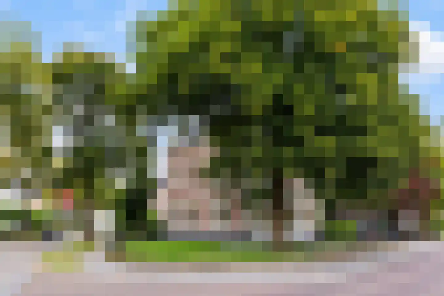 Emmalaan 1 Apeldoorn thumbnail 39