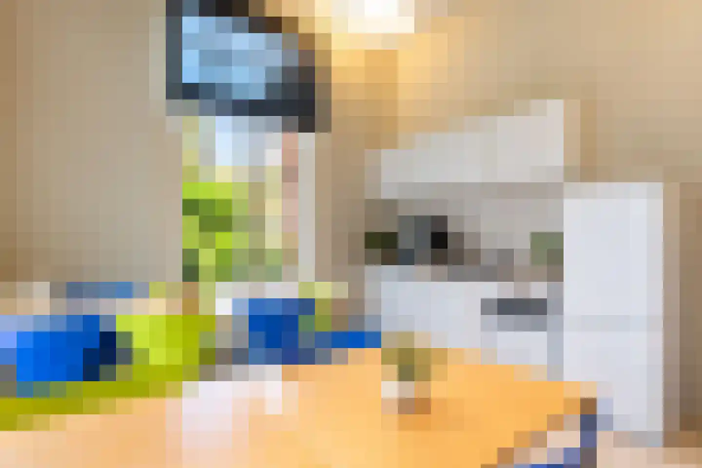 Emmalaan 1 Apeldoorn thumbnail 6