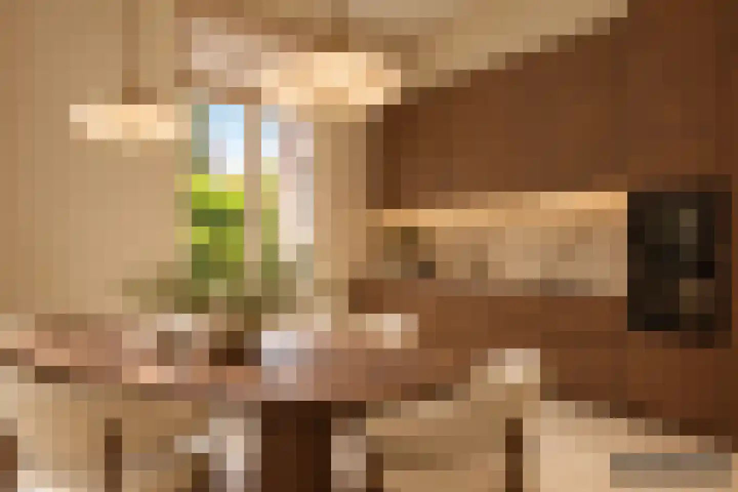 Emmalaan 1 Apeldoorn thumbnail 7