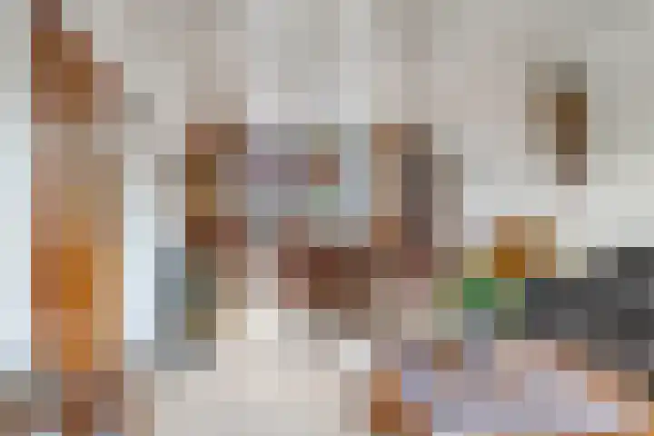 Emmalaan 1 Dodewaard thumbnail 14