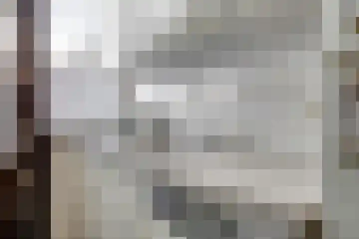 Emmalaan 1 Dodewaard thumbnail 21