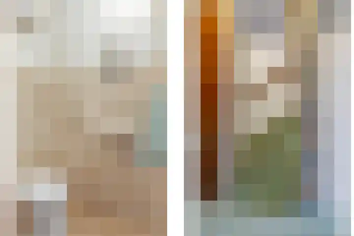 Emmalaan 1 Dodewaard thumbnail 24