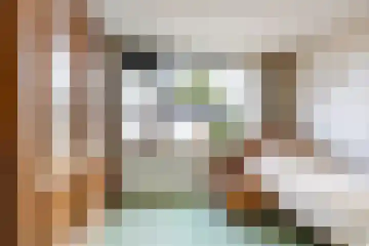 Emmalaan 1 Dodewaard thumbnail 27