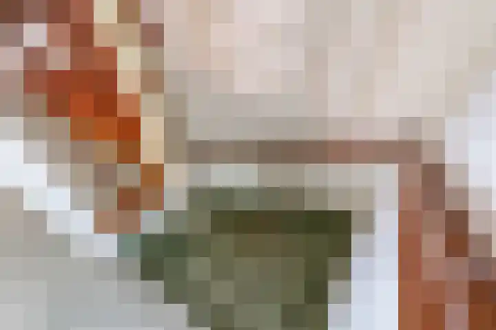 Emmalaan 1 Dodewaard thumbnail 36