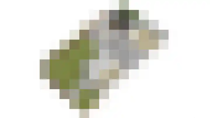Emmalaan 1 Dodewaard thumbnail 42