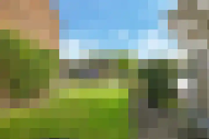 Emmalaan 1 Dodewaard thumbnail 45