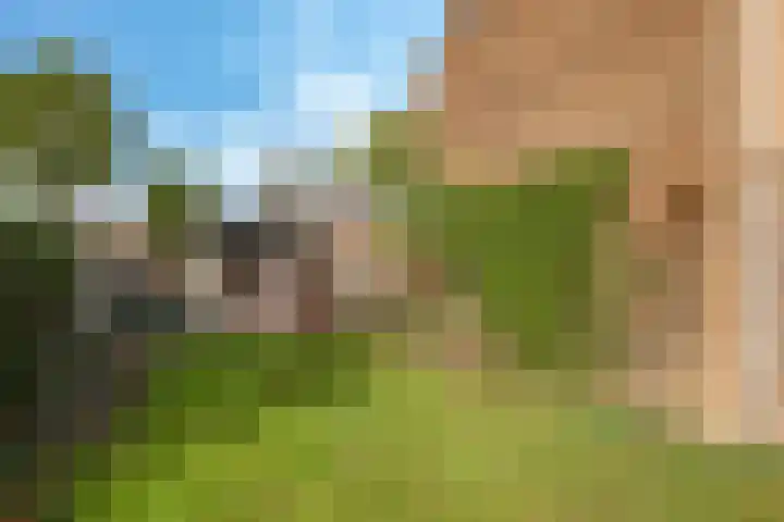 Emmalaan 1 Dodewaard thumbnail 46