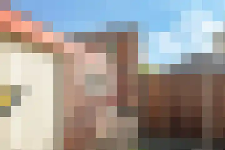 Emmalaan 1 Dodewaard thumbnail 53