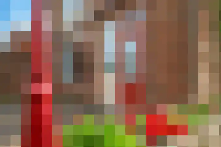 Emmalaan 1 Dodewaard thumbnail 55