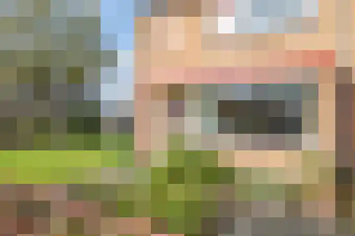Emmalaan 1 Dodewaard thumbnail 56