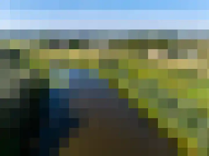 Emmalaan 1 Dodewaard thumbnail 66