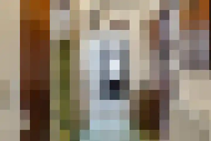 Emmalaan 1 Dodewaard thumbnail 9