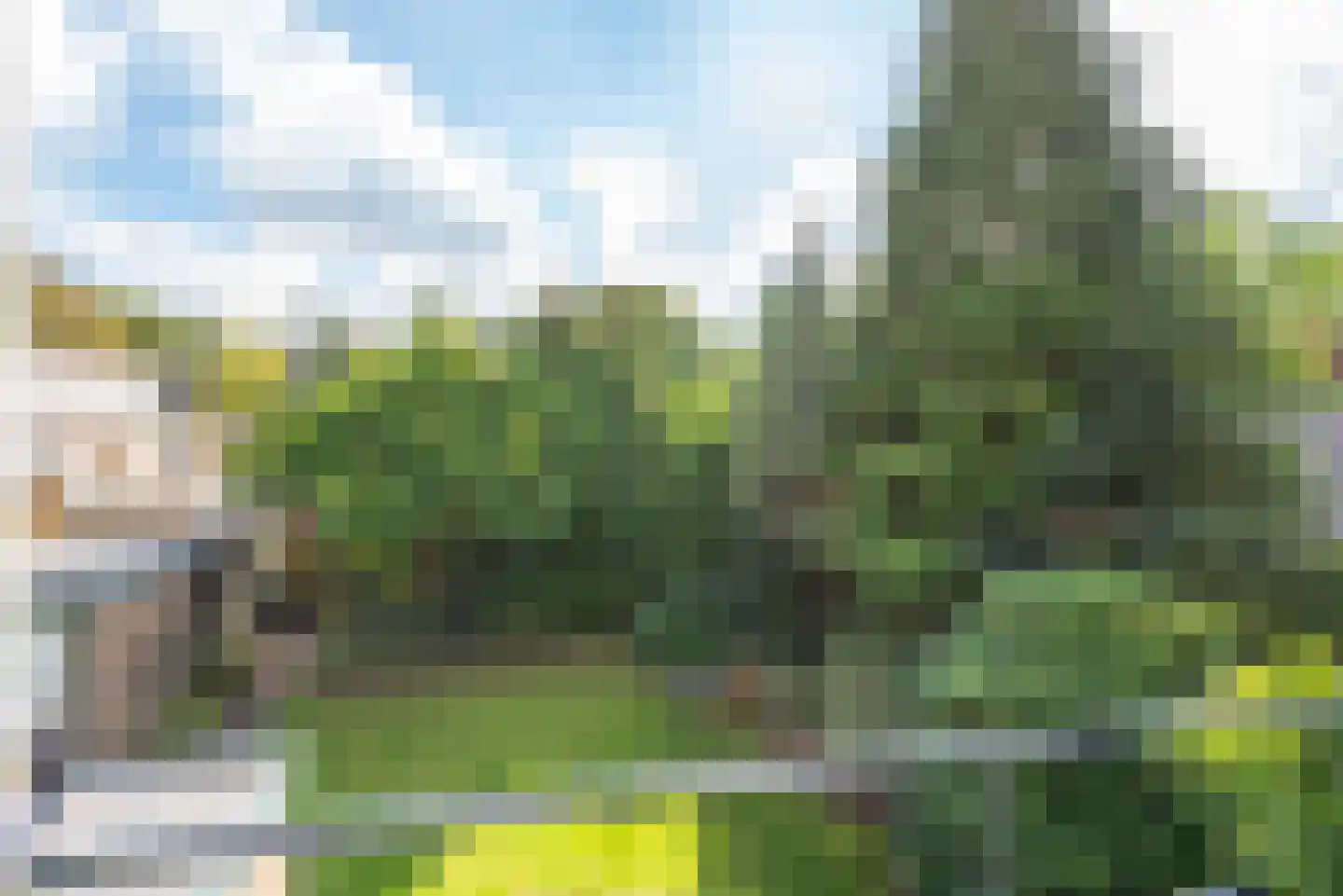 Emmalaan 10 Bergen (NH) thumbnail 31