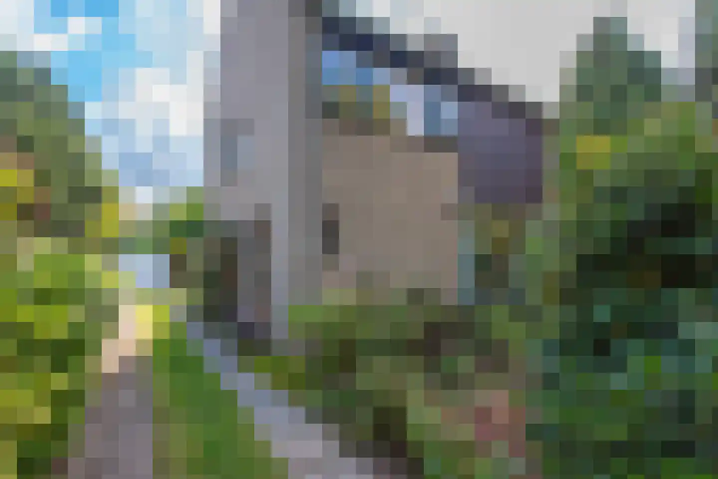 Emmalaan 10 Bergen (NH) thumbnail 4