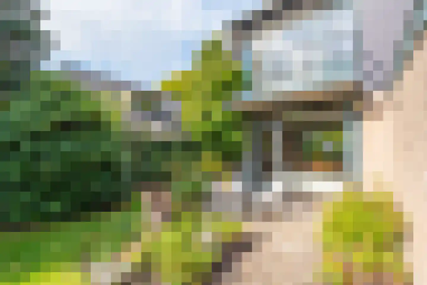 Emmalaan 10 Bergen (NH) thumbnail 43