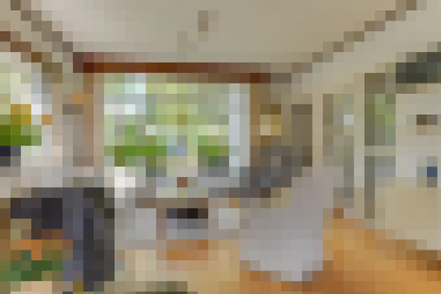 Emmalaan 10 Bergen (NH) thumbnail 6