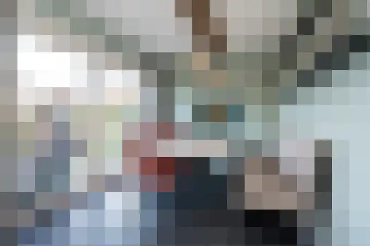 Emmalaan 10 Dirksland thumbnail 13