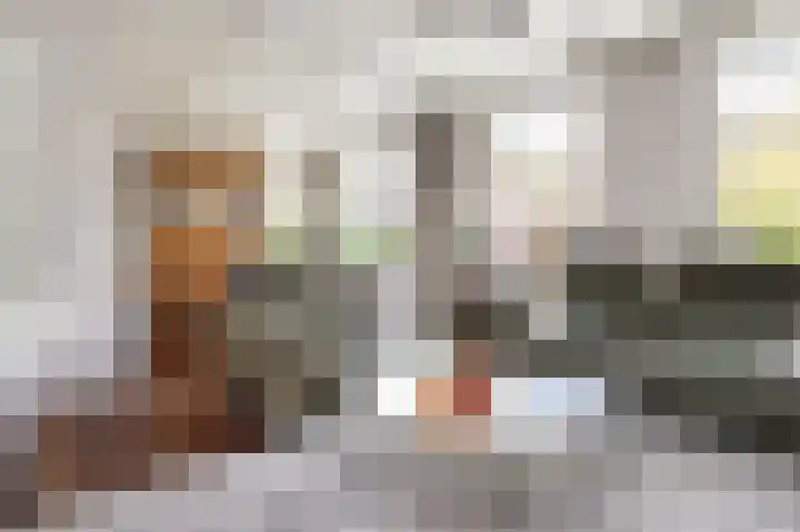 Emmalaan 10 Dirksland thumbnail 16