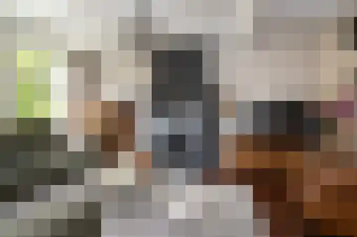 Emmalaan 10 Dirksland thumbnail 17