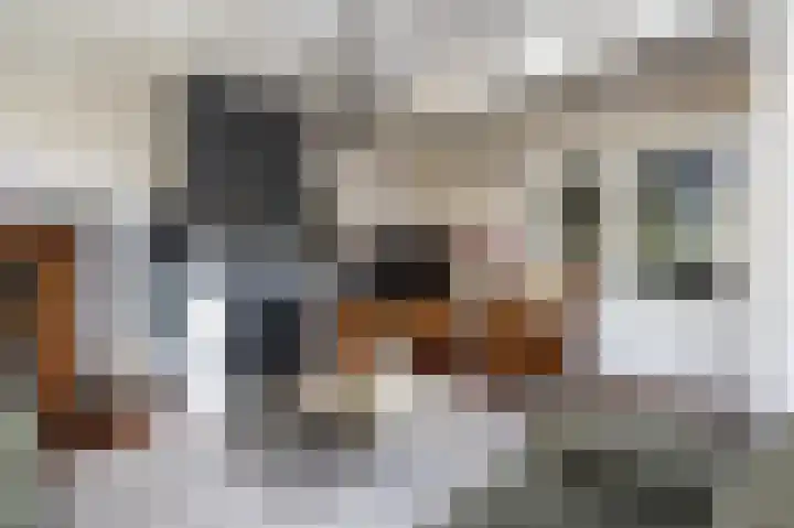 Emmalaan 10 Dirksland thumbnail 18