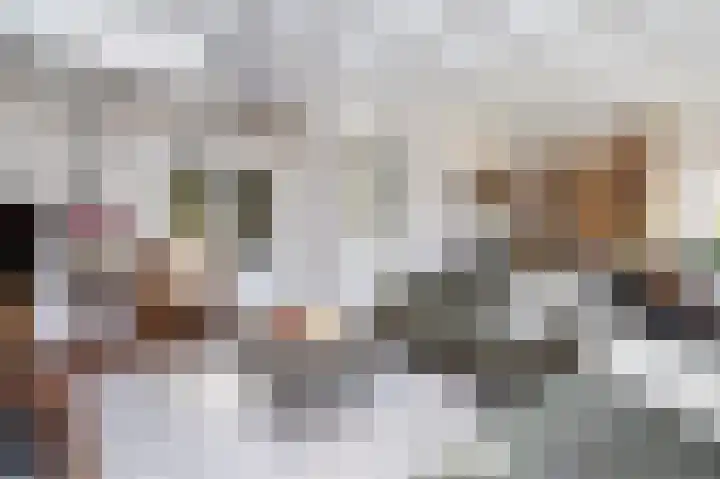 Emmalaan 10 Dirksland thumbnail 21