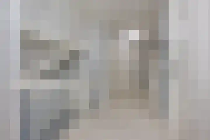Emmalaan 10 Dirksland thumbnail 22