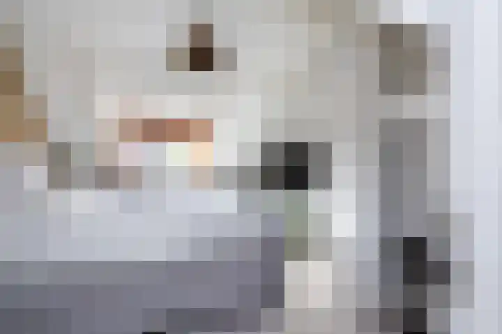 Emmalaan 10 Dirksland thumbnail 24