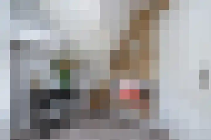 Emmalaan 10 Dirksland thumbnail 25