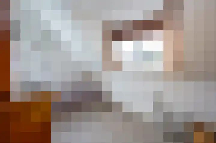 Emmalaan 10 Dirksland thumbnail 26