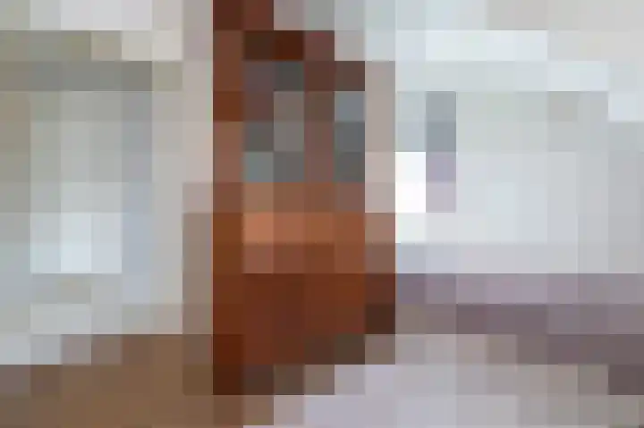 Emmalaan 10 Dirksland thumbnail 27