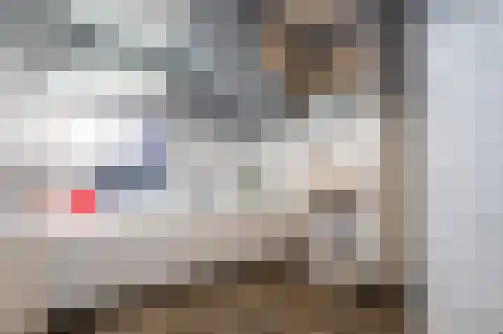 Emmalaan 10 Dirksland thumbnail 29