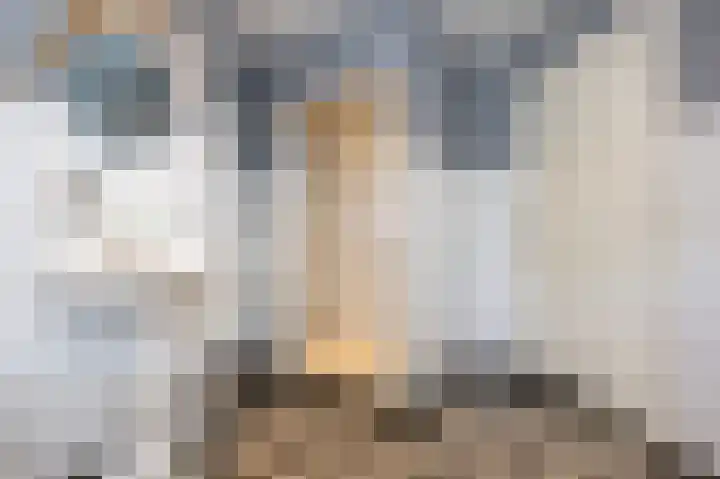 Emmalaan 10 Dirksland thumbnail 30