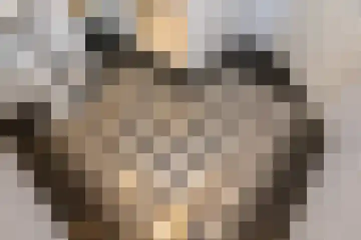 Emmalaan 10 Dirksland thumbnail 31